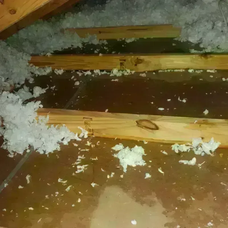 Attic Water Damage in Silvis, IL