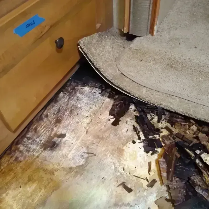 Best Wood Floor Water Damage Service in Silvis, IL